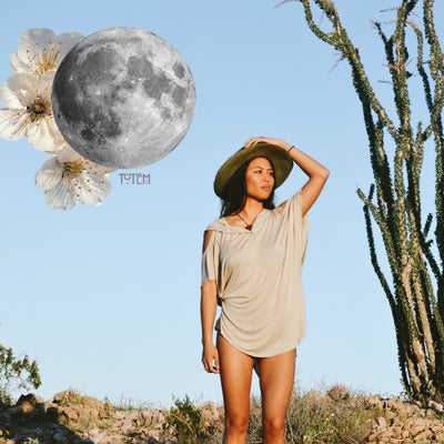 ASTROLOGICAL INSIGHTS & INVITATIONS ~ Full Moon In Scorpio, May 2020