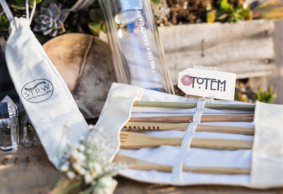 CREATE AN ECO-FRIENDLY TRAVEL TOOLBOX WITH 5 ITEMS!