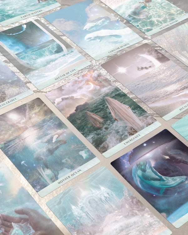 新品未開封 ocean dreams oracle オーシャンドリーム　オラクル Ocean Dreams Oracle【オラクルカード】 | musemuse